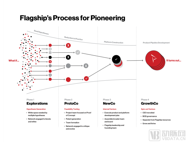 图2.flagship创建并孵化企业的四个阶段（资料来源:九游会登录入口首页官网）