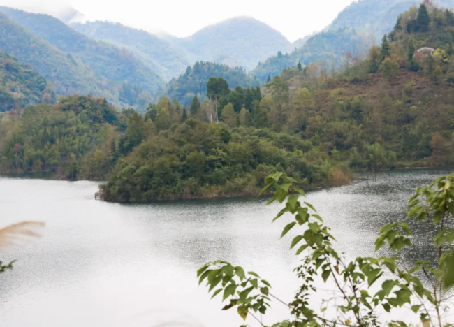 珍酒水源地——麻沟水库附近山水交错的优良生态。 摄影/好酒地理局视频中心