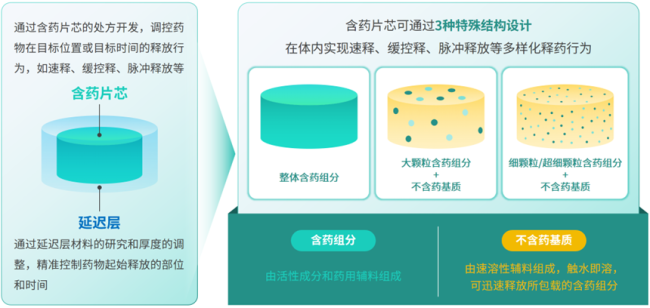 三迭纪3d微结构调释平台结构设计