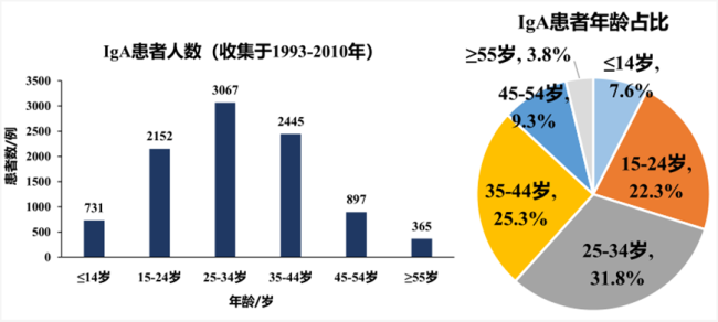 中国iga肾病患病年龄分布（参考来源[3]）