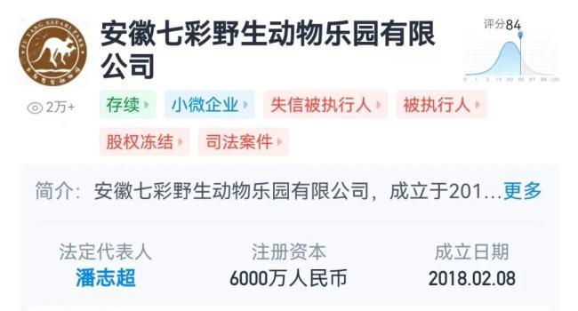 阜阳野生动物园经营方被罚1139万元！曾被曝20只东北虎死亡，10只是幼虎…