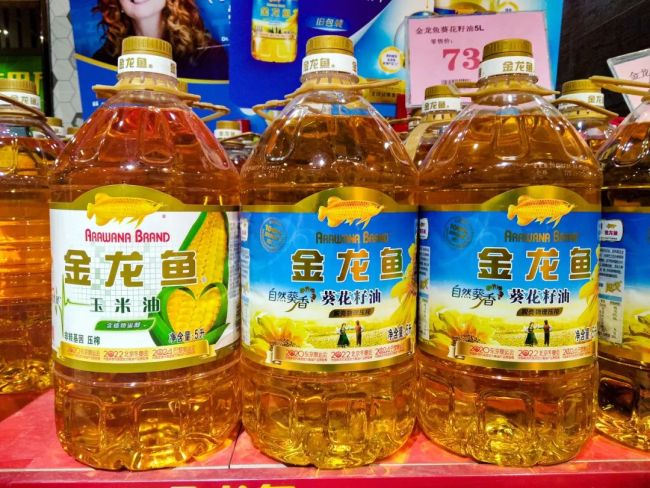 “油茅”金龙鱼，越游越没力