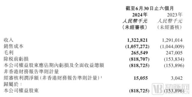 方舟健客业绩增长情况，图片来源：2024年上半年业绩报告