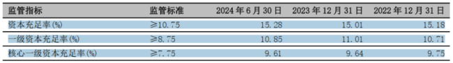 （来源：该行2024年半年报）